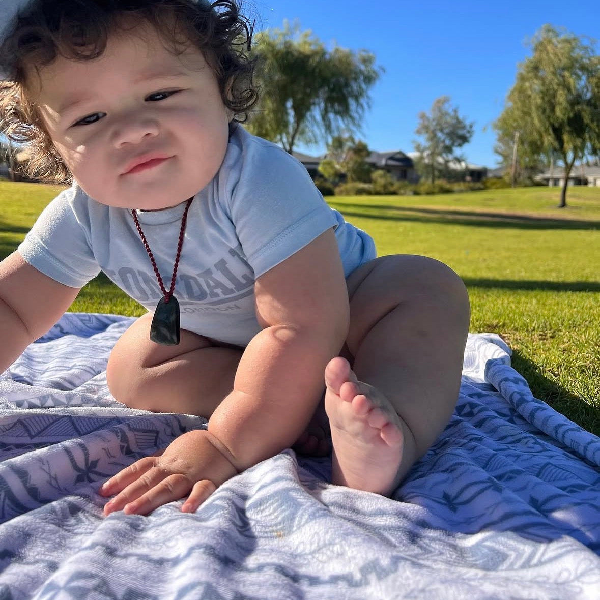 Nesia | Blue | Soft Minky Baby Blanket